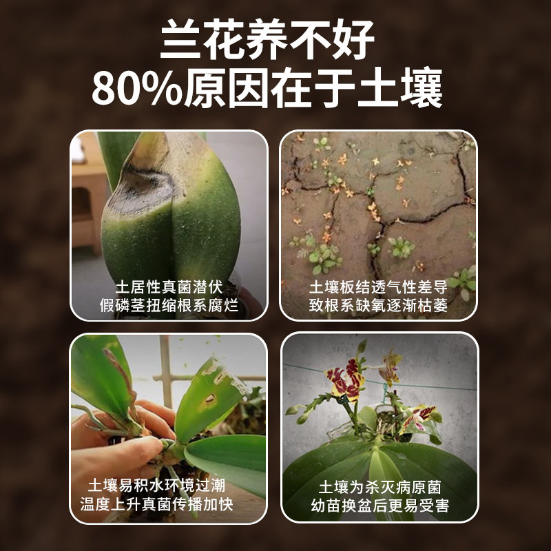 蝴蝶兰专用土兰花专用水苔植料养蝴蝶兰盆栽种植颗粒松树皮营养土