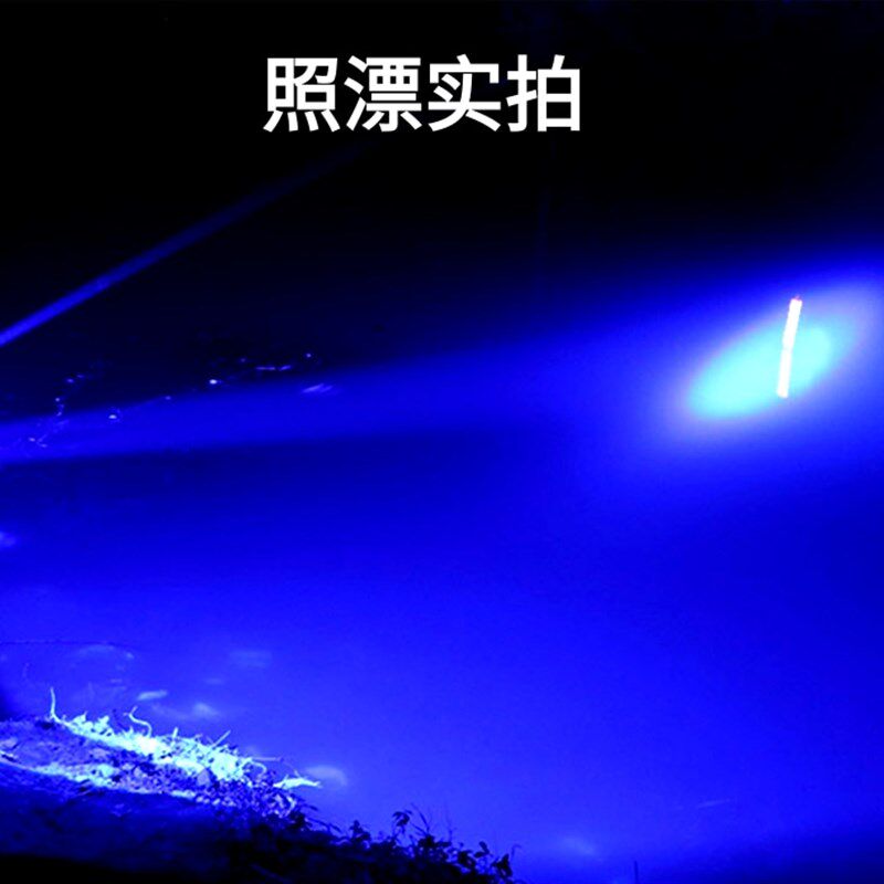 感应双T6蓝白夜钓灯蓝光照漂头灯头戴式变焦钓鱼灯强光超亮3锂电