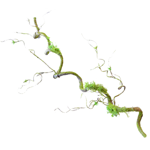 仿真苔藓树藤枯藤森系墙壁造景装饰藤蔓假藤条青苔藤树枝缠绕绿植