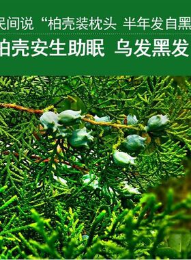 野生柏壳籽枕头中药枕侧柏壳安神乌发助睡眠天然香枕头黑发少白发