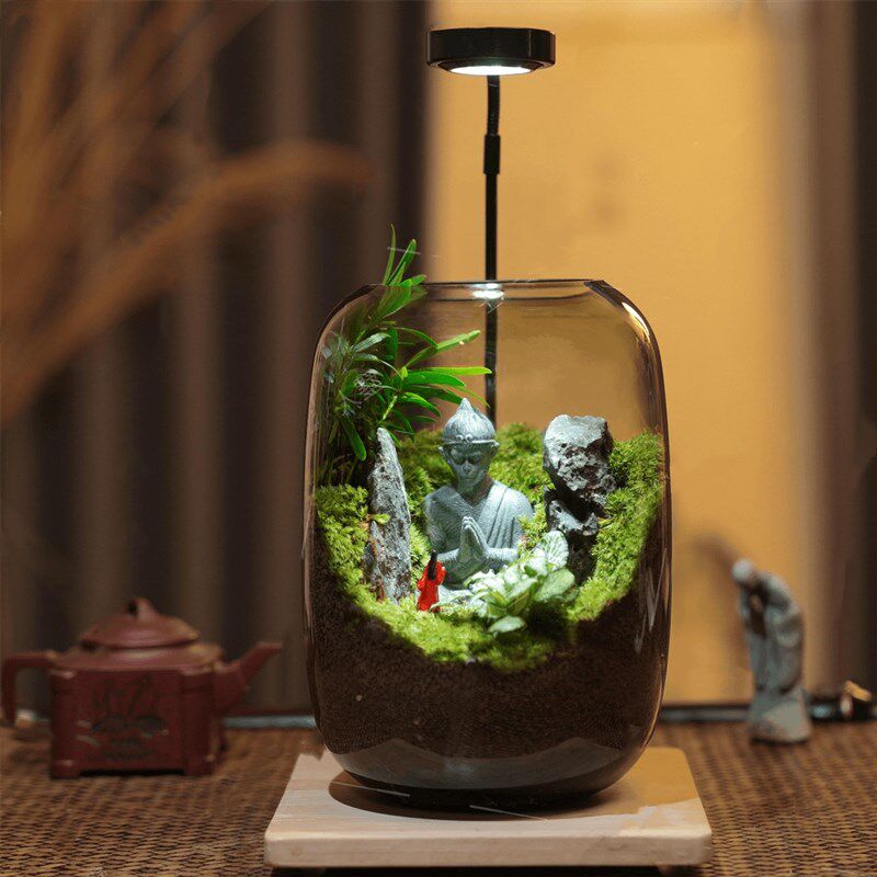 苔藓微景观生态瓶造景植物创意迷你小摆件桌面花盆玻璃养鱼生态缸