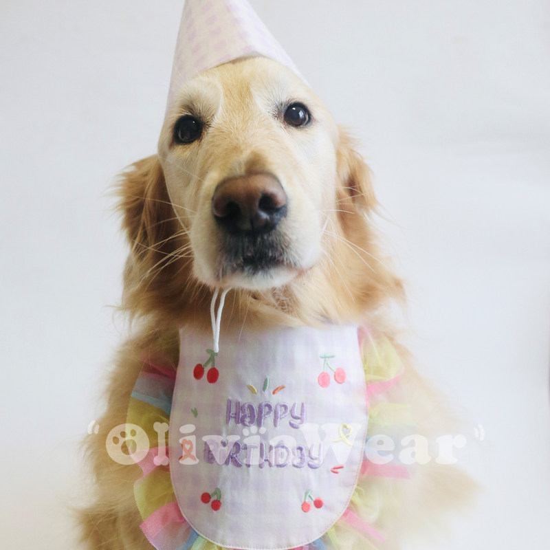 生日快乐大宝贝 金毛阿拉斯加大狗专属生日帽生日口水巾宠物用品