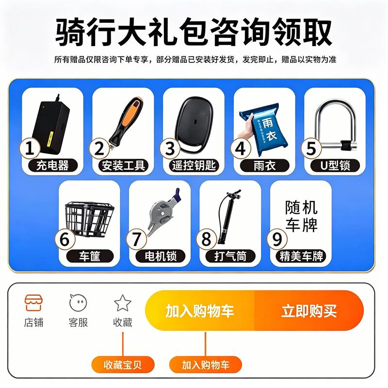 金鹰电动车2026新国标电动自行车可上牌照真空轮胎送货上门锂电池