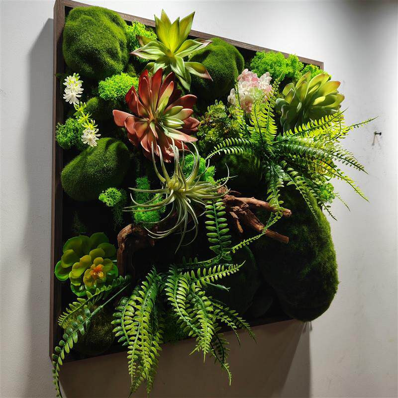 彷生彷真苔藓植物墙环保绿化墙面绿植背景装饰画白发藓企业文化墙