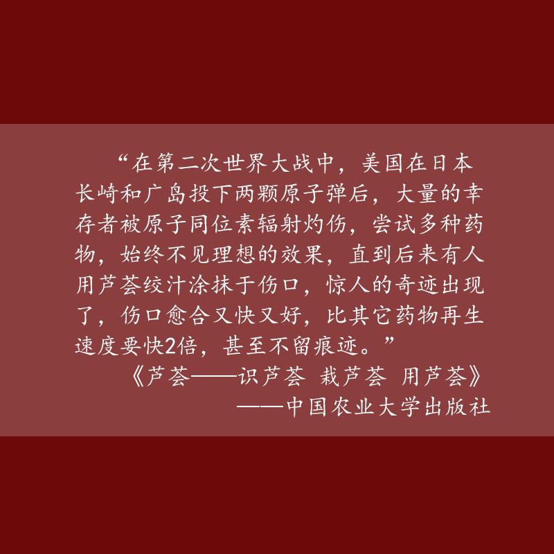 厚朴翠叶芦荟羊奶手工皂