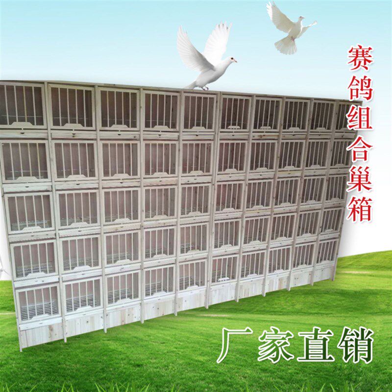 信鸽组合巢箱赛鸽子笼子木质鸽具养殖配对笼实木种鸽调节笼放飞笼