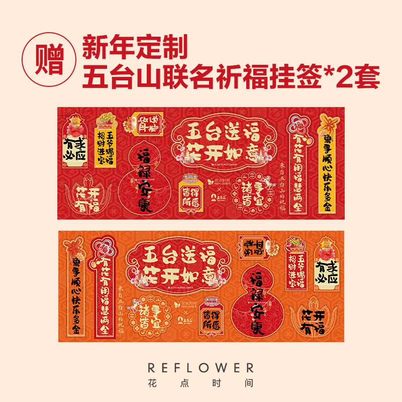 大型金桔树盆栽带果年桔可食用橘子树苗四季观果绿植室内客厅花卉