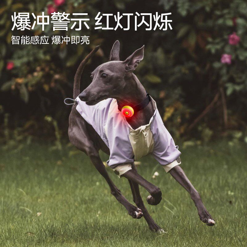 MEWOOFUN狗狗夜行灯小狗夜间防走失遛狗灯夜灯宠物夜行灯发光吊坠