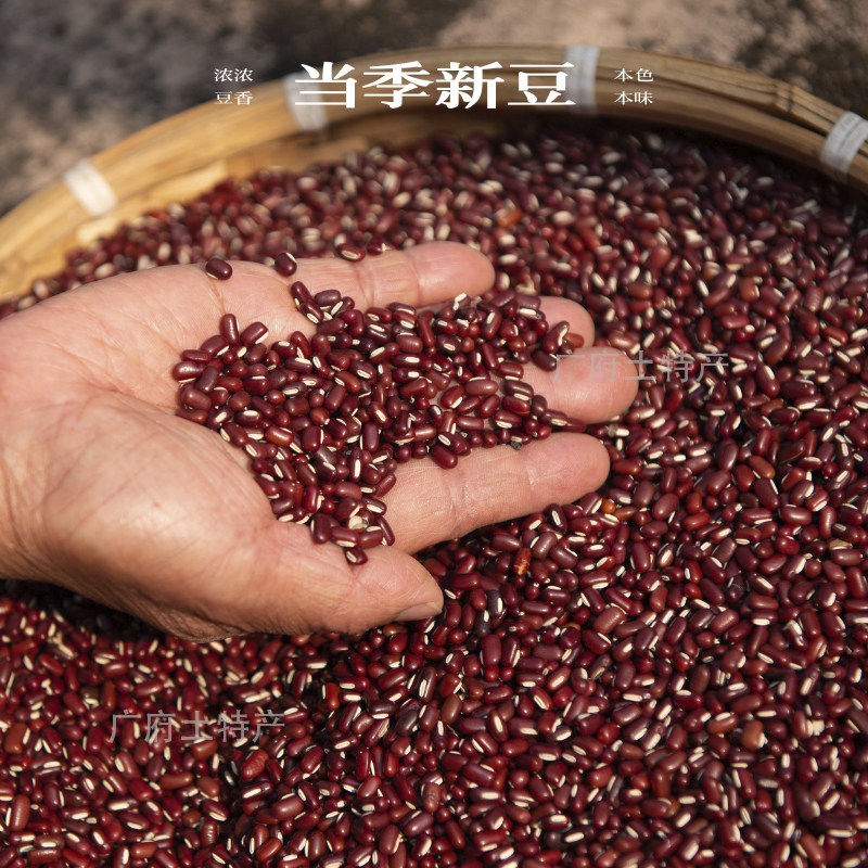 粤北农家赤小豆正宗优质非转基因新货五谷杂粮粗粮长粒红小豆扁豆
