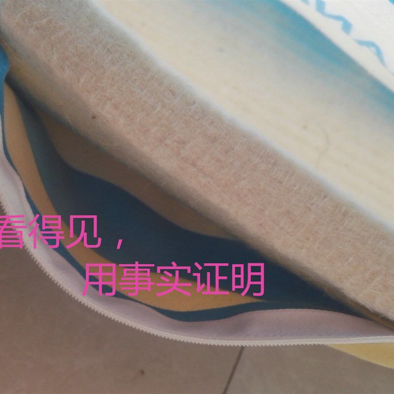 床垫羊毛毡20mm厚单人垫子双人手工铺炕毡子电热炕榻榻米飘窗包邮