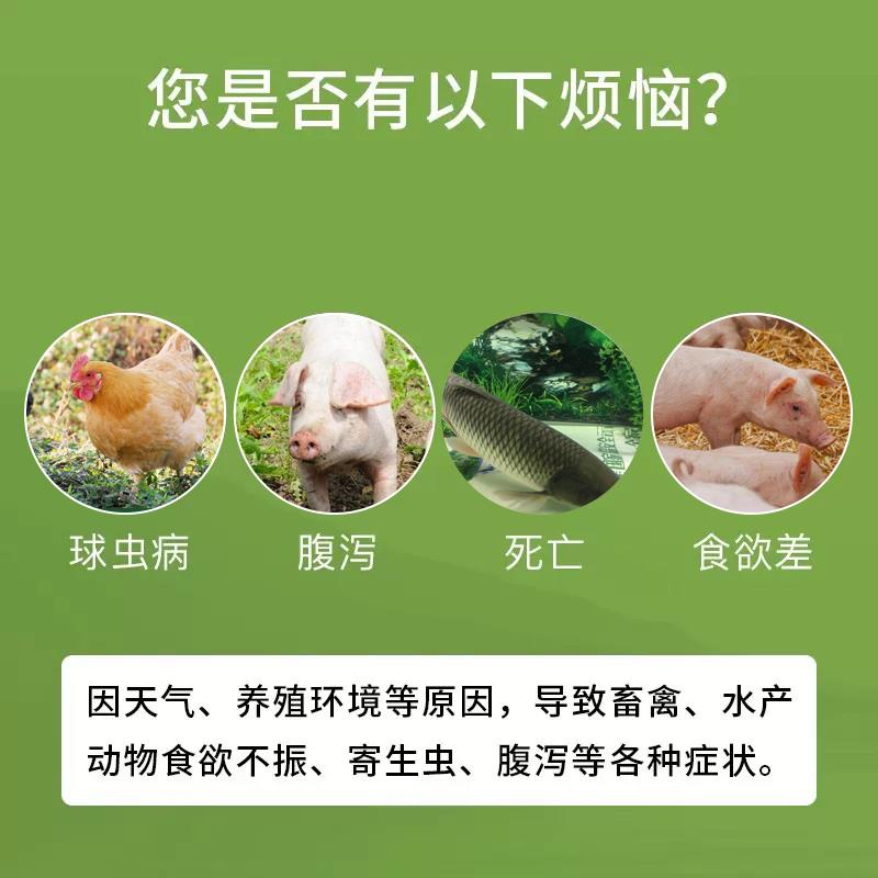 大蒜素粉兽用鱼用鱼食水产专用鸡鸭牛羊猪用诱食饲料添加剂