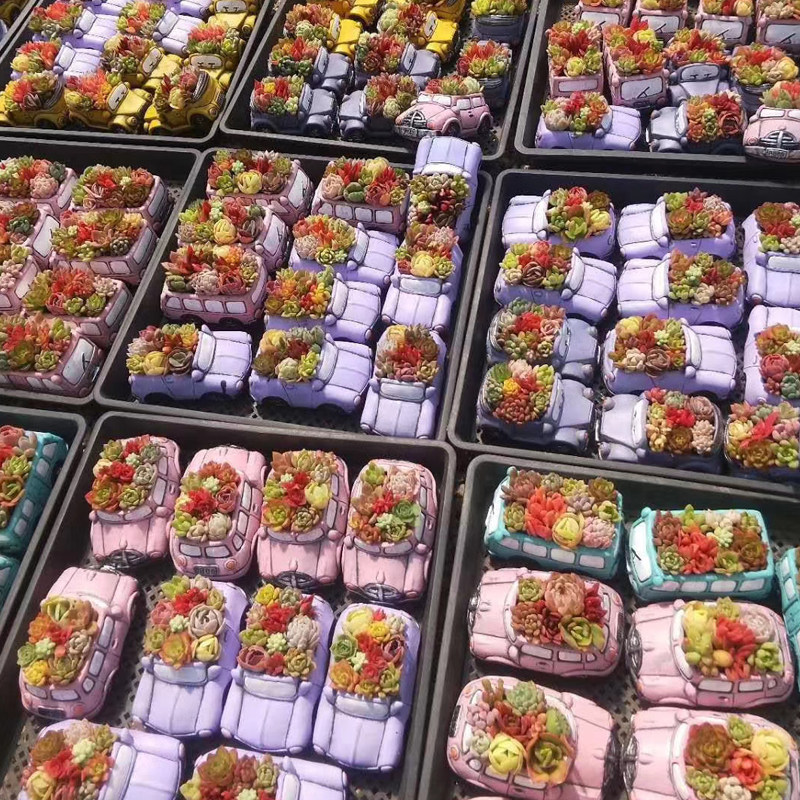多肉花盆复古卡通小汽车创意个性可爱室内盆栽水泥花非陶瓷摆件