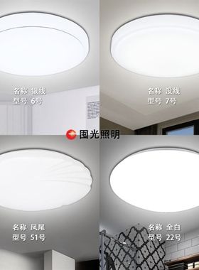 48w60厘米50cm客庁客厅灯led吸顶灯圆盘吊顶灯超薄40公分园型三变