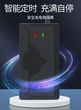 适用赛克电动车电瓶充电器48V12ah20AH60V72V30AH电车三轮车通用
