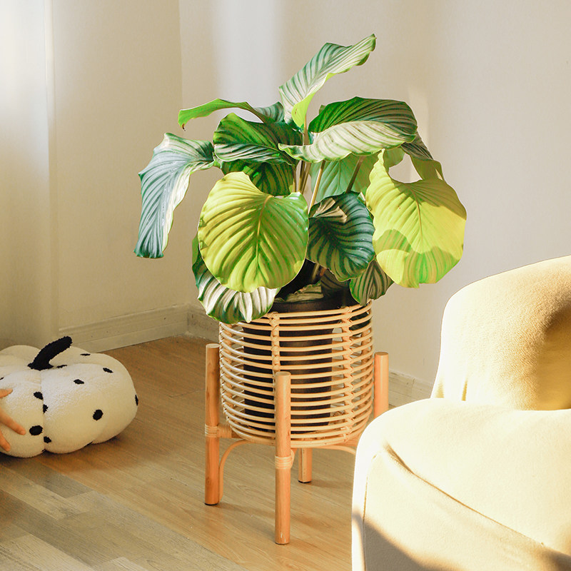 Na花房北欧简约藤编花架室内客厅创意植物架阳台花园落地花盆篮架
