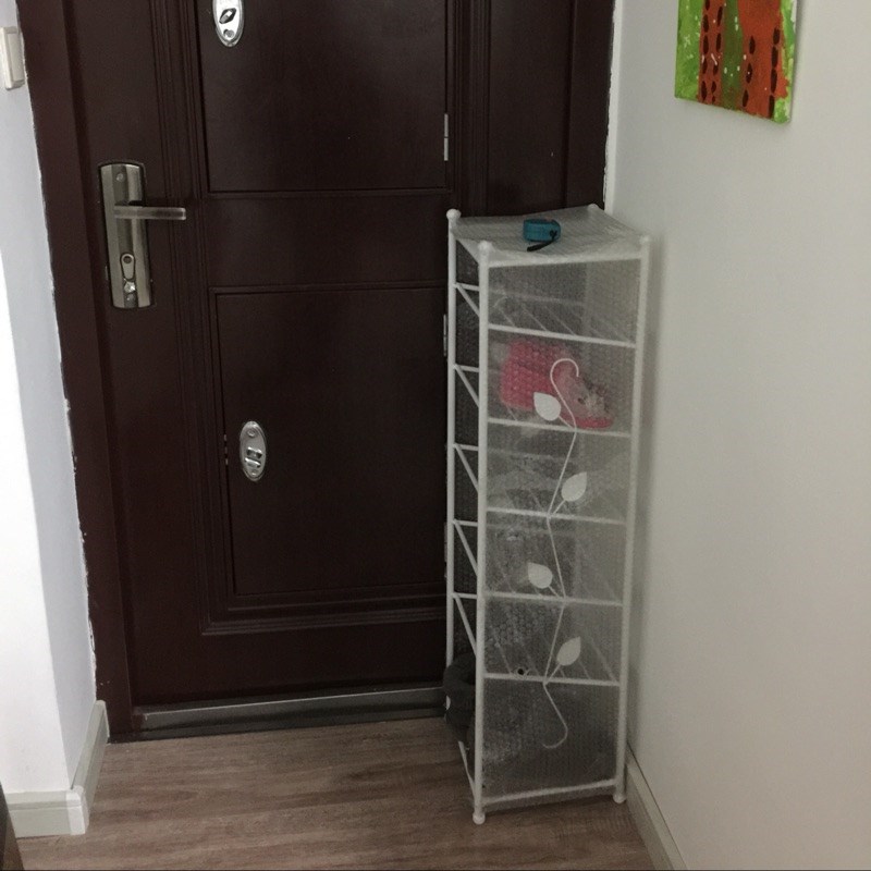 门厅防尘鞋柜鞋架小窄简易多层省空间家用收纳置物架简约装饰花架