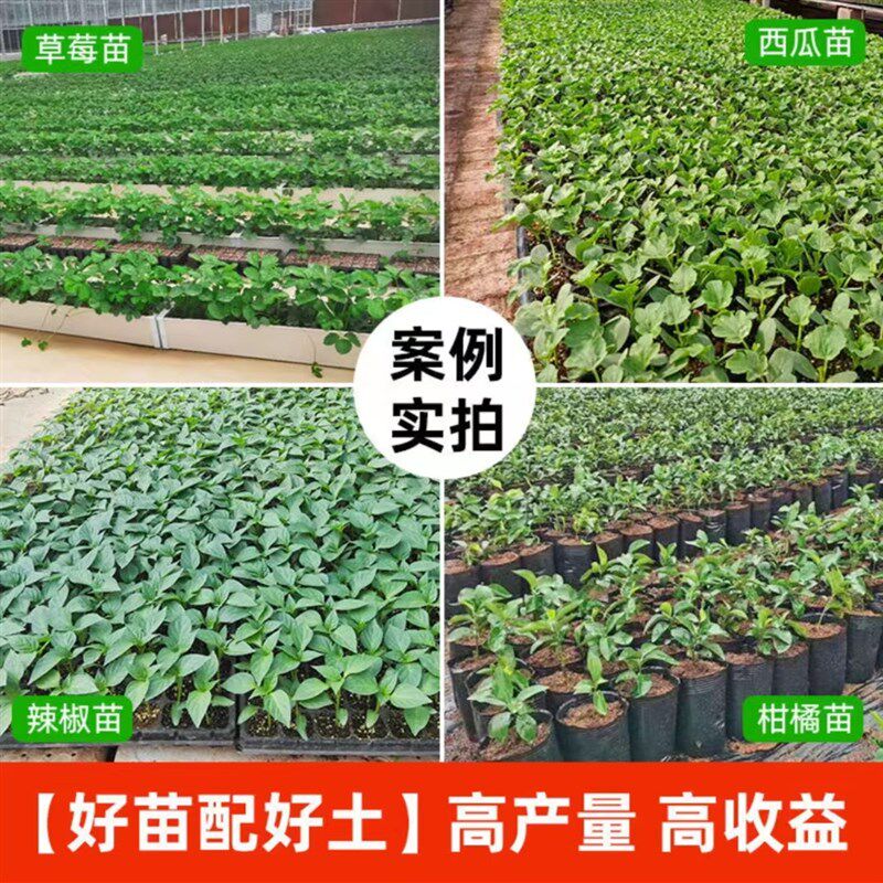 育苗基质营养土种菜土壤蔬菜种土水稻育秧专用扦插50升一袋装