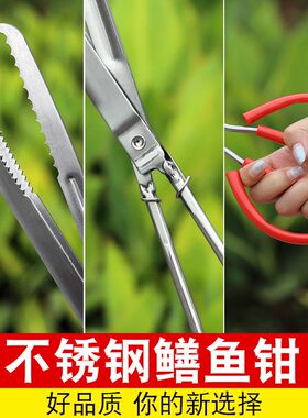 黄鳝夹子加长防滑鳝鱼夹不锈钢抓螃蟹泥鳅钳子赶海工具长鱼捕捉器