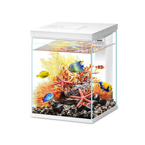 鱼缸桌面客厅生态缸超白懒人缸斗鱼金鱼乌龟造景养鱼水族箱免换水