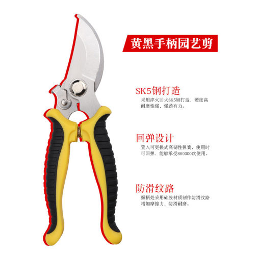 剪枝果树修枝剪刀园艺剪刀树枝园林省力修花枝剪家用工具剪子