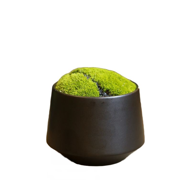 现代简约仿真植物套装苔藓花艺组合桌摆花洽谈茶几样板软装饰摆件