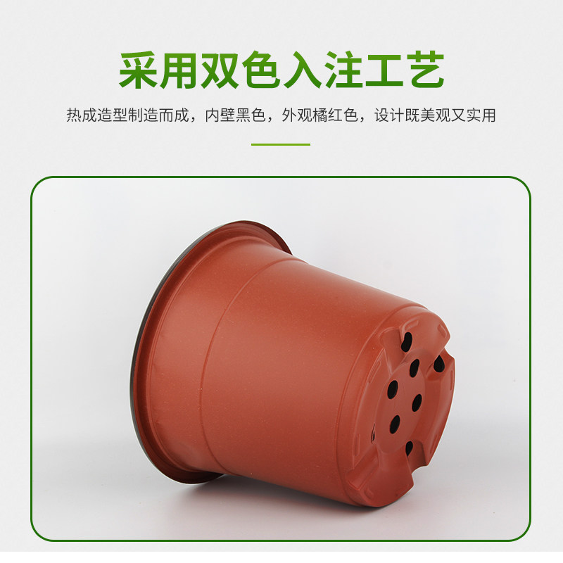 双色盆育苗盆加厚一次性简易花盆塑料大号多肉扦插盆营养杯育苗杯