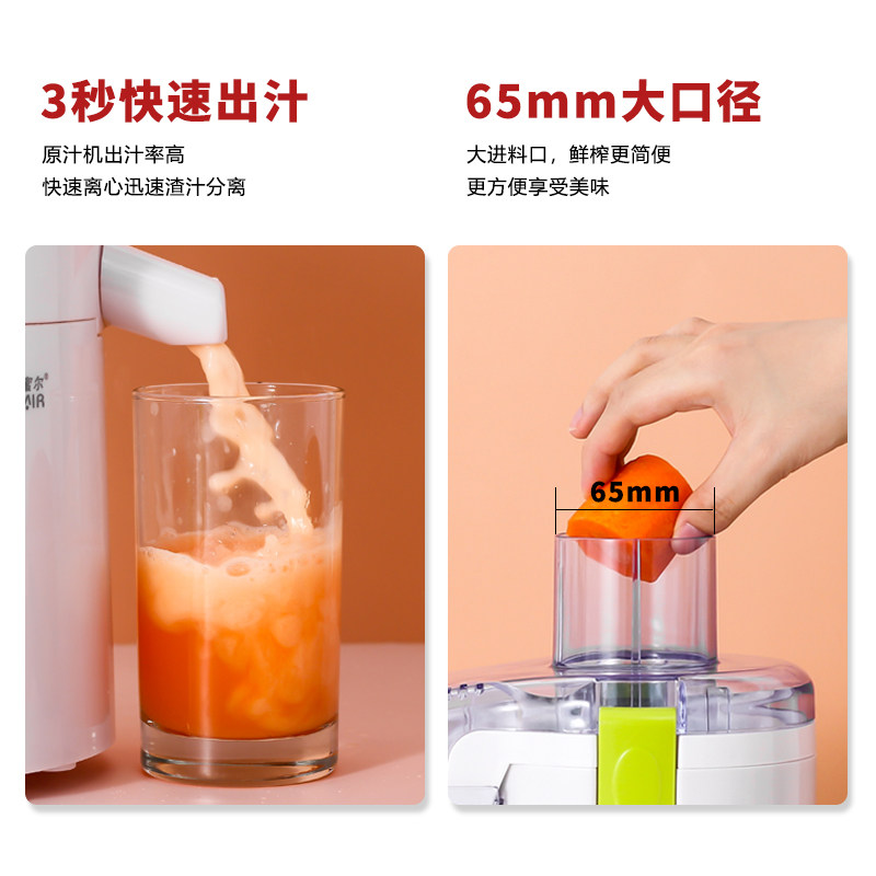 小型榨汁机汁渣分离全自动家用婴儿辅食专业果肉蔬多功能原炸汁机