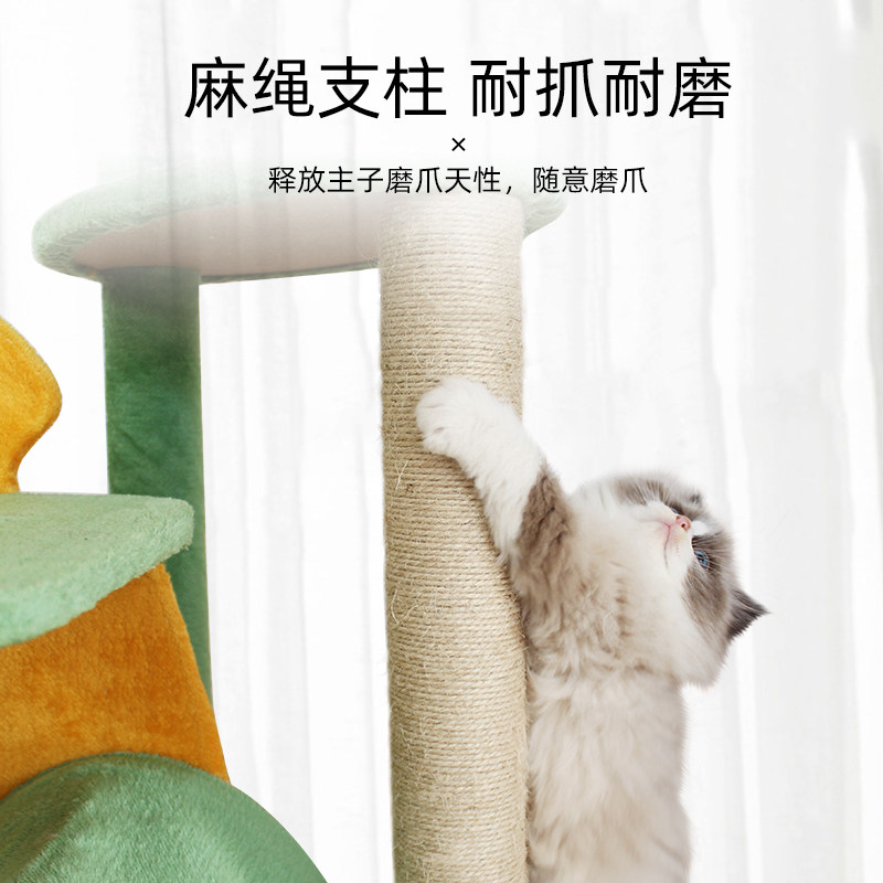 热带雨林猫爬架猫树猫窝一体磨爪柱幼猫专用跳台猫架子不占地