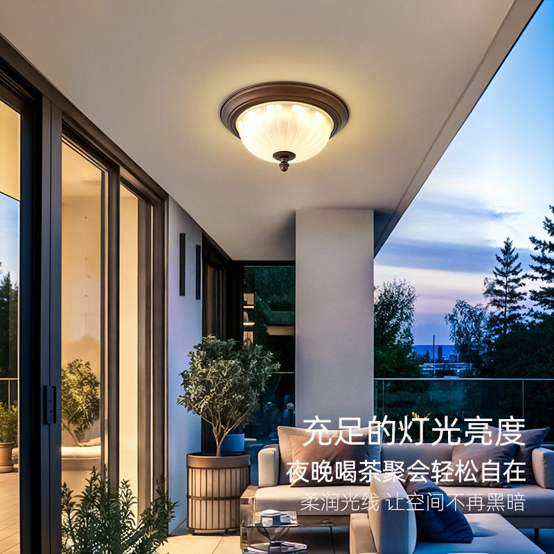 阳台灯2026新款中古风入户专用吸顶灯走廊过道户外别墅大门口照明