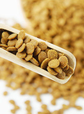 美食厨房猫粮室内成猫挑嘴猫天然粮4磅敏感肠道舒适配方猫粮