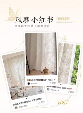 隔热防晒镜面纱窗纱透光不透人飘窗窗帘阳台窗纱法式奶油色蝴蝶纱