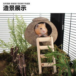 仓鼠窝椰子壳睡窝躲避屋房子金丝熊降温夏季造景玩具用品花枝别墅