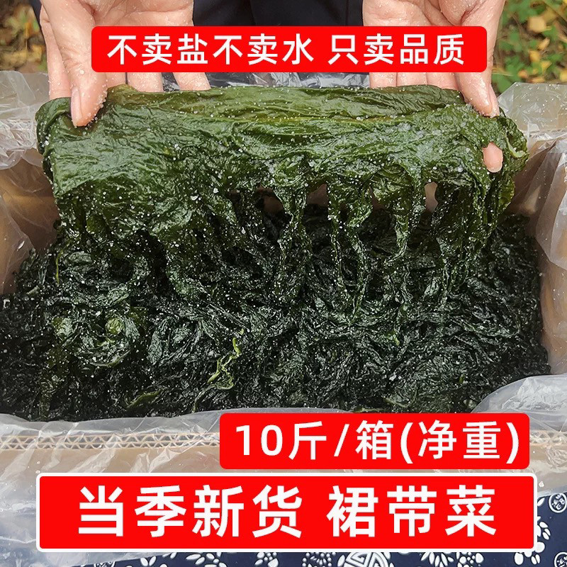 10斤裙带菜叶海藻火锅食材批发