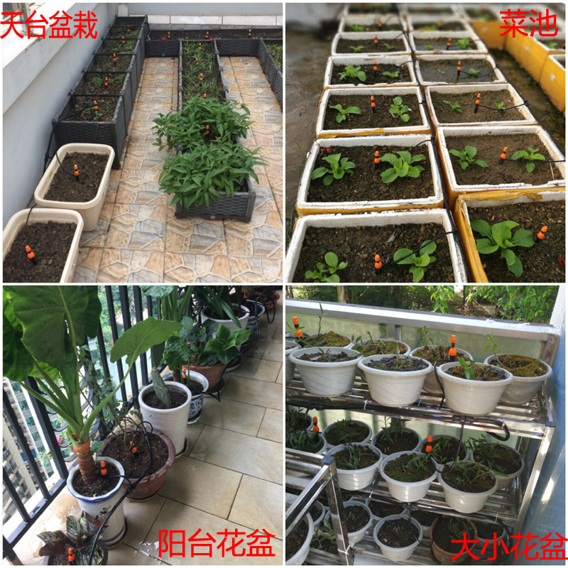 家用自动浇花器定时喷水器灌溉系统自动喷淋滴灌设备雾化微喷套装