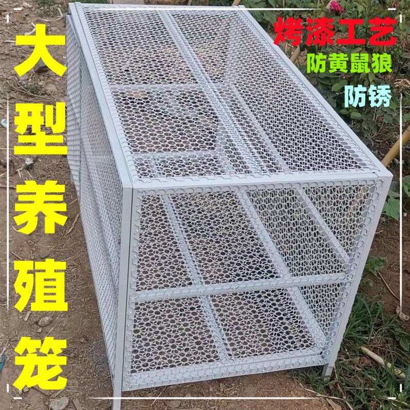 养殖鸡笼鸽笼猫笼兔笼狗笼防黄鼠狼防耗子老鼠烤漆不生锈大型笼子