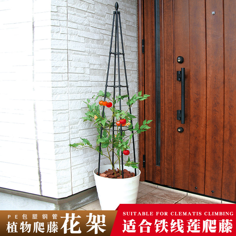 铁线莲园艺支架攀爬架包塑管植物爬藤铁艺支撑杆花盆支柱月季花架