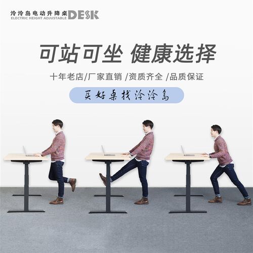 泠泠岛新款简约可升降桌电动升降办公桌可调节高度桌子站立升降台