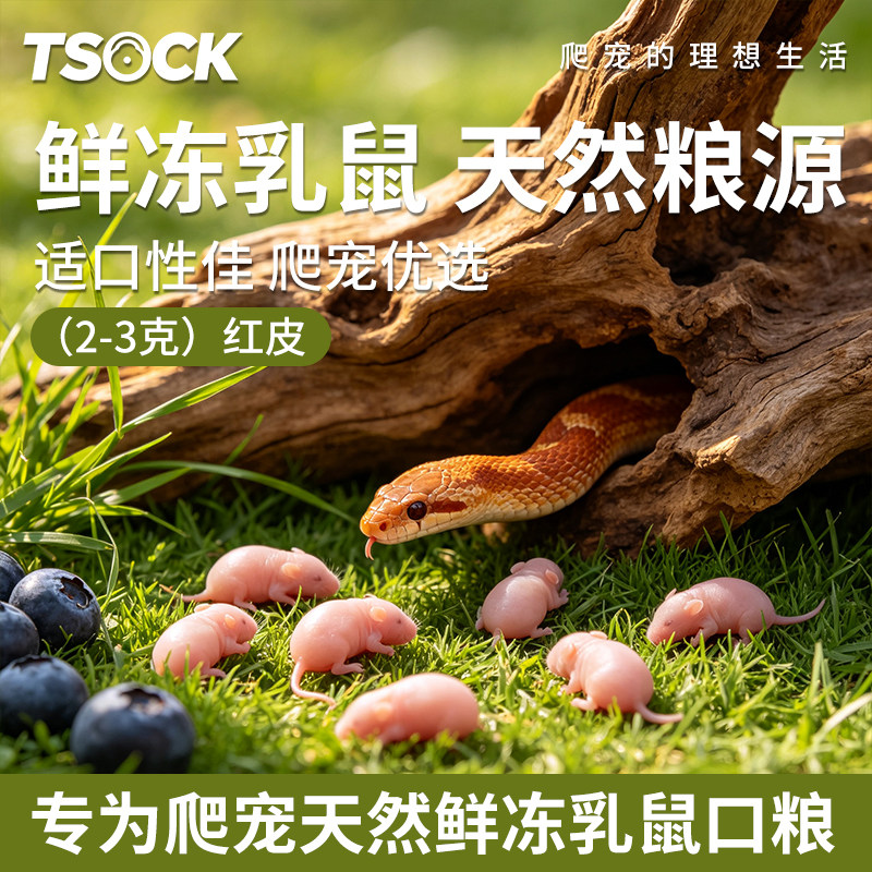 蛇粮乳鼠喂养省心新鲜粮源红皮