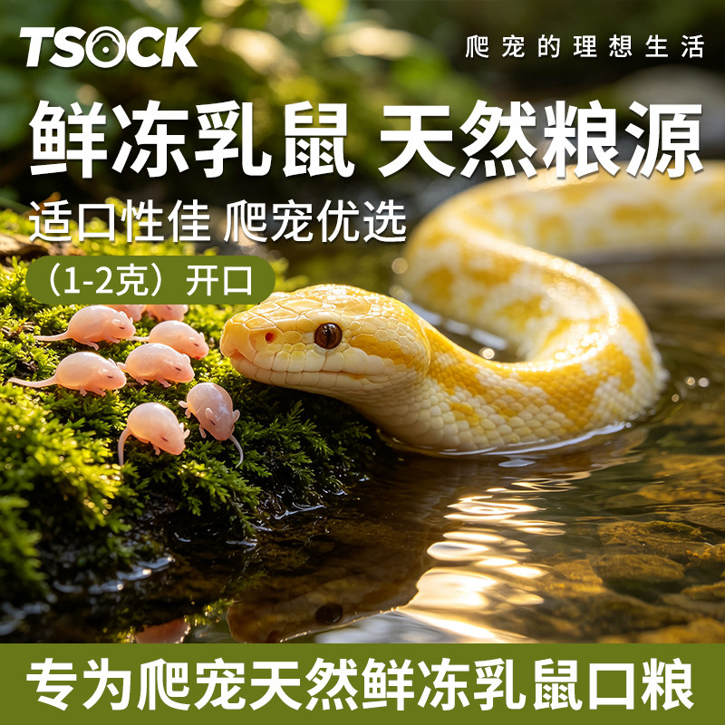 爬宠专用蛇粮乳鼠蛇新鲜冷冻开口