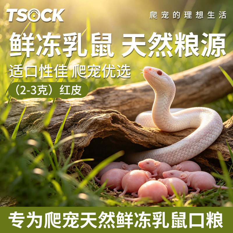 乳鼠营养丰富新鲜粮源冷冻红皮