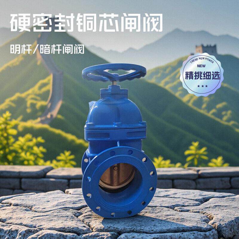 上海京蝶沪工阀门 美标闸阀 铸铁暗杆硬密封铜芯人防法兰闸阀DN65