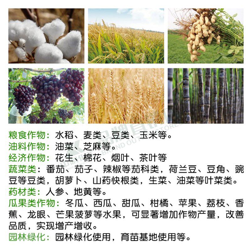 海藻精肥料原粉叶面肥营养肥水溶肥冲施促根壮苗果树草莓蔬菜营养