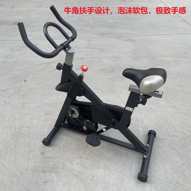 脚踏发电机12V24V伏2000W瓦永磁直流大功率电瓶充电健身自行车
