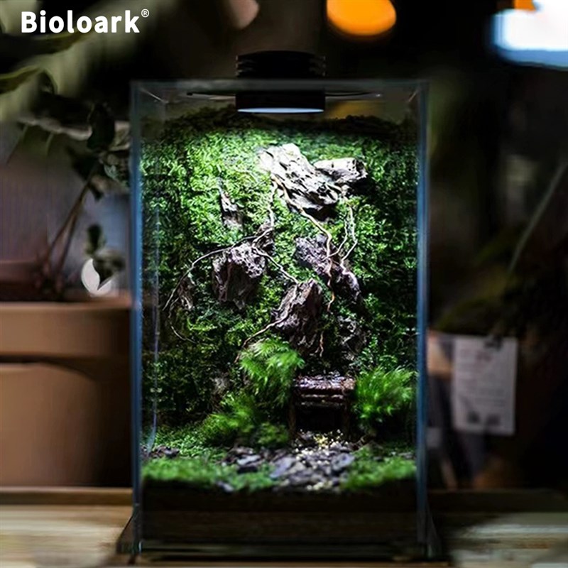 Bioloark生物方舟生态瓶超白缸玻璃瓶苔藓微景观带灯家居露集杯