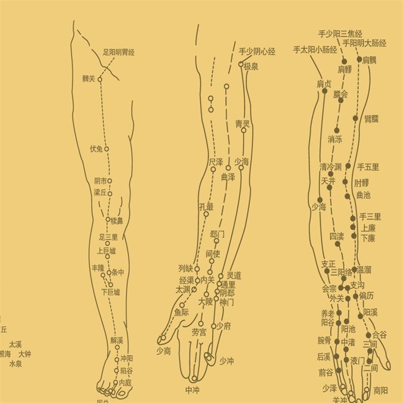 中医十二经络图丝绸画 精品人物穴位挂图 养生文化国画卷轴画定制