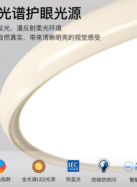 奶油风吸顶灯圆形可调节灯简约书房灯法式复古斜顶阁楼绿色卧室灯