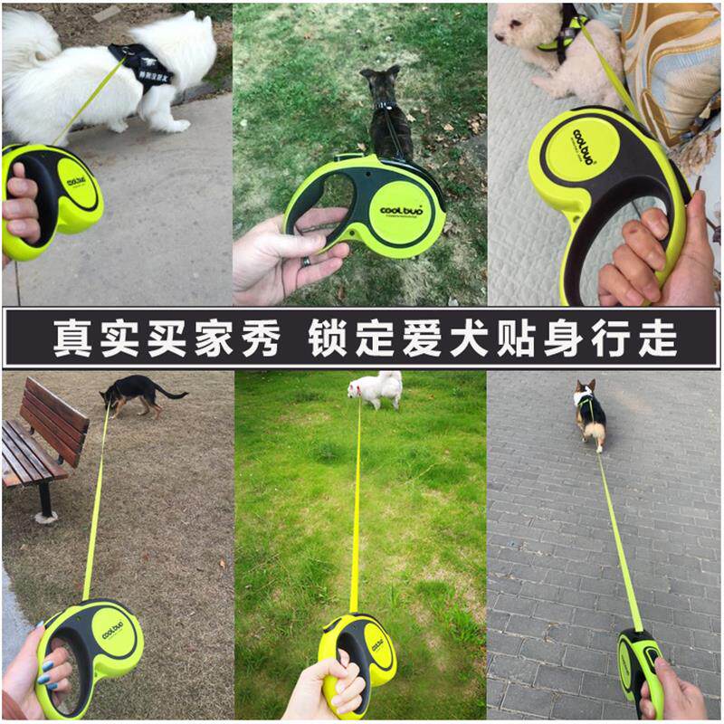 狗狗牵引绳自动伸缩中大型犬金毛拉布拉多遛狗绳子阿拉斯加狗链子