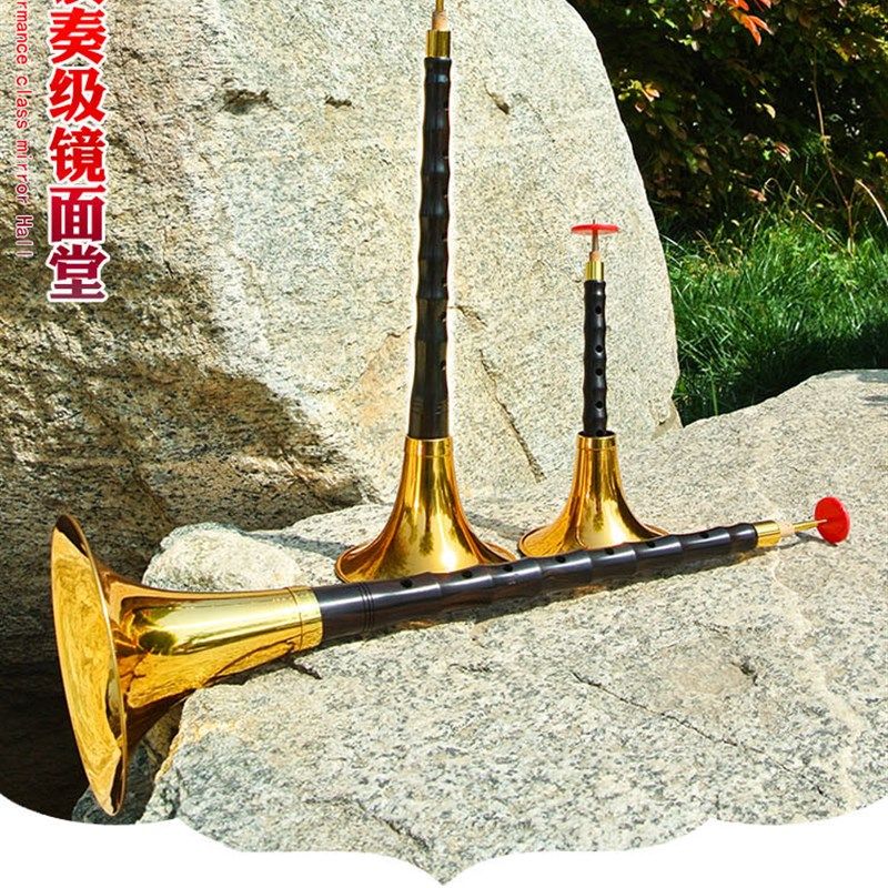 唢呐乐器全套演奏级镜面内堂专业乌木降b初学者D调成人儿童大小号