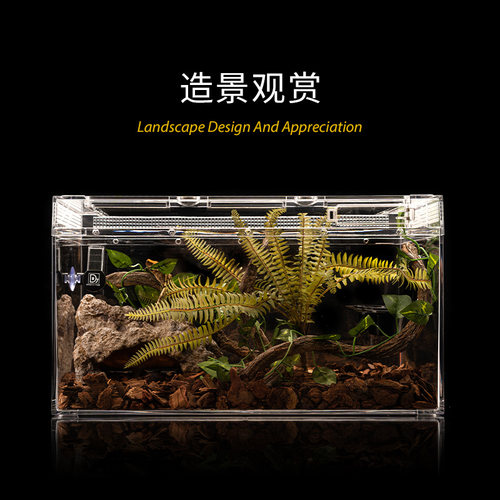 亚克力生态雨林沙漠爬宠饲养箱角蛙蜘蛛鬃狮蜥蜴守宫蛇造景饲养盒