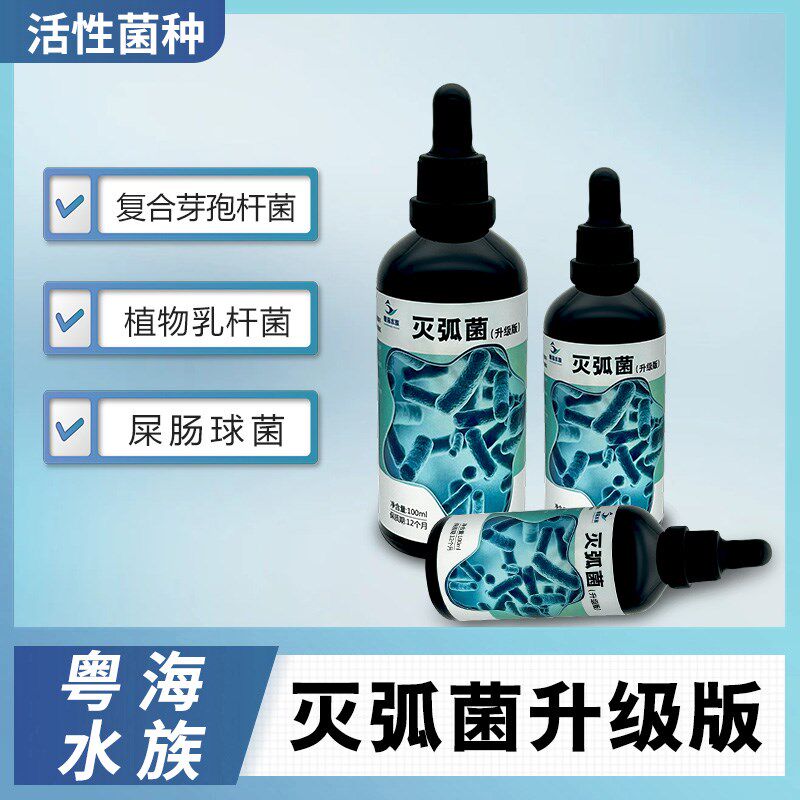 粤海灭弧菌针叶类珊瑚细菌感染布朗冻海水鱼内疾肠炎鱼瘦肚子干瘪